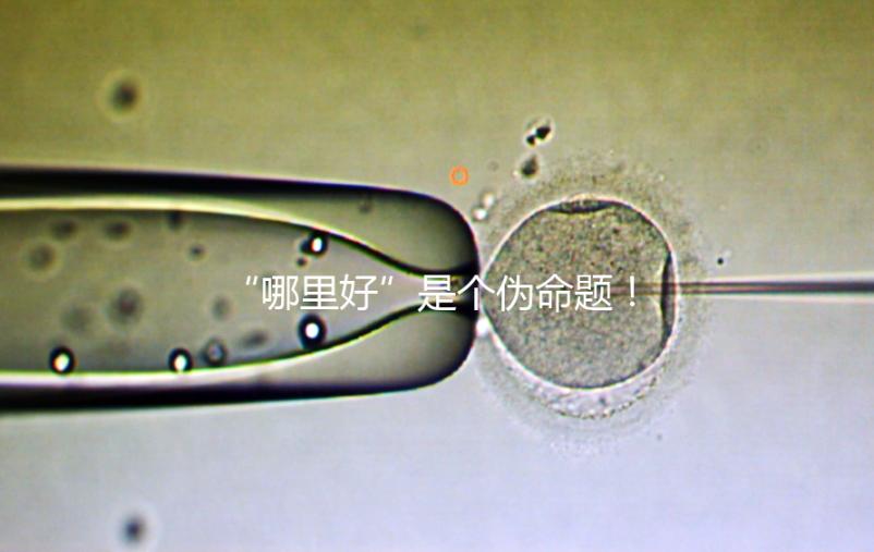 “哪里好”是個偽命題！上海市第十人民醫院做試管經驗分享