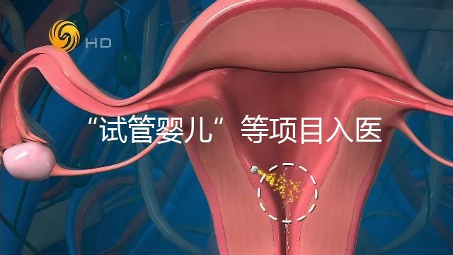 “試管嬰兒”等項目入醫保能如期落地嗎？廣西回應