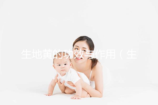 生地黃的功效與作用（生地黃是傷腎還是補腎）