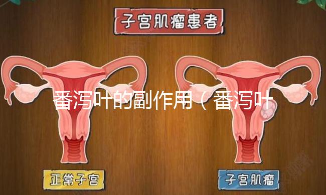 番瀉葉的副作用（番瀉葉的副作用有哪些）