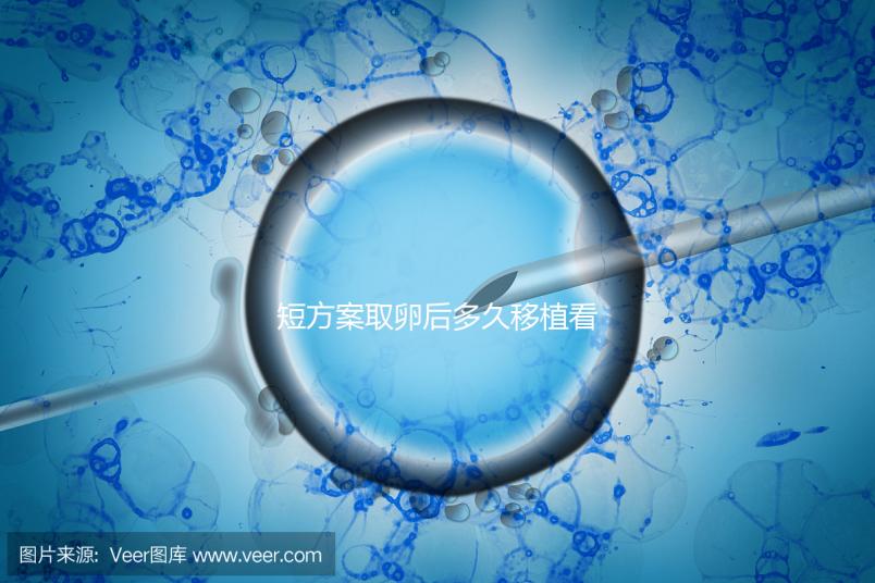 短方案取卵后多久移植看時機，關于試管你要知道一些事