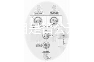 監(jiān)獄項(xiàng)目是否公開招標(biāo)(監(jiān)獄項(xiàng)目是否公開招標(biāo)文件)