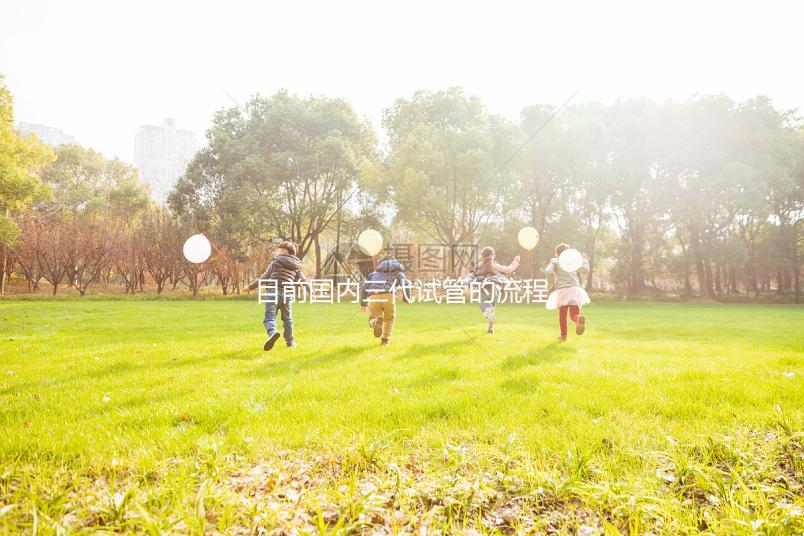 目前國內(nèi)三代試管的流程是怎樣?