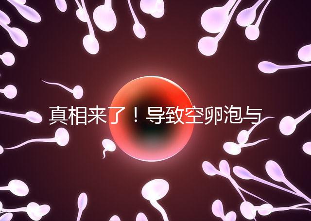 真相來了!導(dǎo)致空卵泡與多囊卵巢有關(guān),區(qū)別在于以下四點(diǎn),多研究