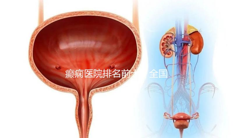 癲癇醫(yī)院排名前十（全國(guó)癲瘋病最好的醫(yī)院）