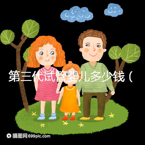 第三代試管嬰兒多少錢(第三代試管嬰兒多少錢一次)