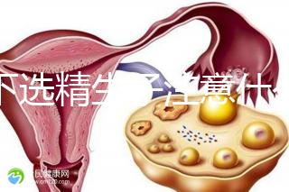 私下選精生子注意什么細(xì)節(jié)要早知，選擇正規(guī)機構(gòu)最重要