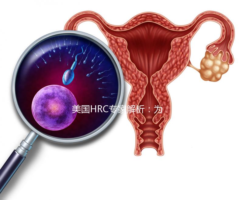 美國HRC專家解析：為何用第二代試管嬰兒技術結合精卵？–美國HRC