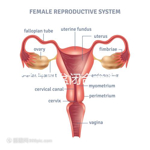 美容院骨盆閉合術(shù)騙局公開，不但沒用還會造成損傷要小心