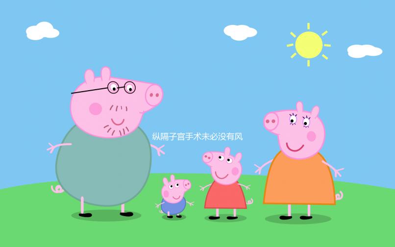 縱隔子宮手術(shù)未必沒有風(fēng)險(xiǎn),必須警惕這4種后遺癥!