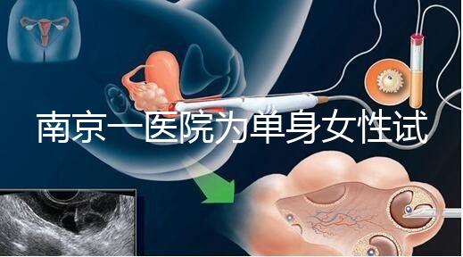 南京一醫院為單身女性試管助孕引爭議背后：當把生育需求納入法規框架