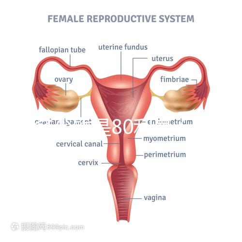 借多少錢(qián)是80利息(借多少錢(qián)是80利息的)