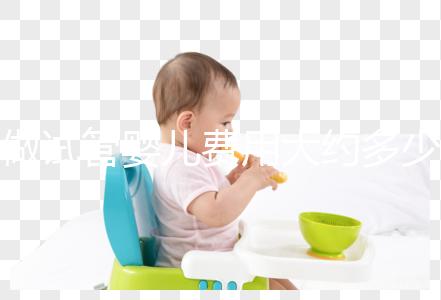 做試管嬰兒費用大約多少錢？