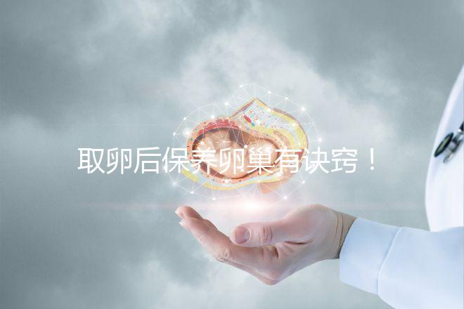 取卵后保養卵巢有訣竅！7種方法助你快速恢復