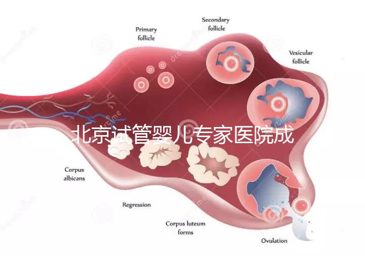 北京試管嬰兒專家醫(yī)院成功率高嗎，醫(yī)院推薦與費用解析