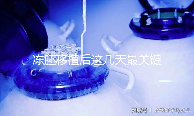 凍胚移植后這幾天最關鍵!一文揭秘重要原因