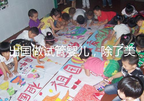 出國做試管嬰兒,除了美國還有哪些可選?各國技術(shù)水平盤點(diǎn)