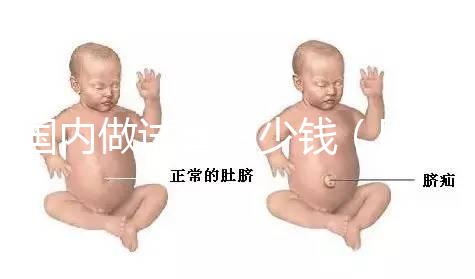 國內(nèi)做試管多少錢（國內(nèi)做試管多少錢啊）