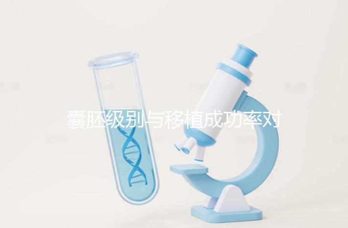 囊胚級別與移植成功率對照表:級別越高成功率越高嗎?