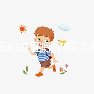 囊胚和凍胚哪個成功率高？試管移植選擇策略解析