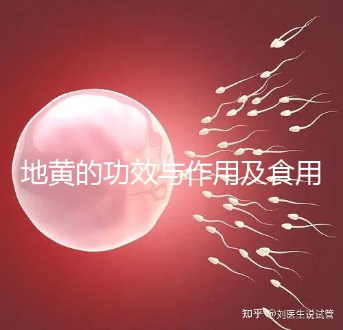 地黃的功效與作用及食用方法（黑豆熟地黃的功效與作用及食用方法）