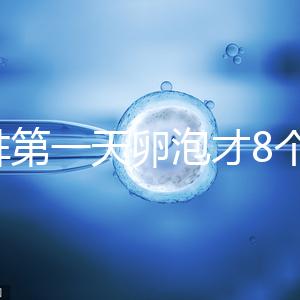 促排第一天卵泡才8個(gè)別慌,怎么辦、多大正常一文說(shuō)清