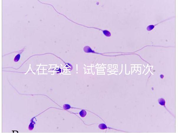 人在孕途！試管嬰兒兩次胎停育,了解這幾招能降低流產(chǎn)風(fēng)險(xiǎn)