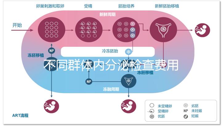 不同群體內(nèi)分泌檢查費用有差別，但醫(yī)保報銷問題不大