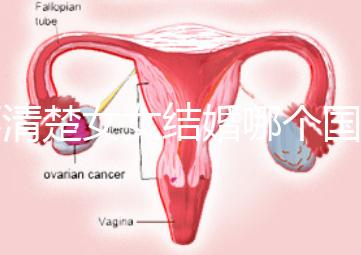 不清楚女女結婚哪個國家能領證來看，歐洲這些地區(qū)都可