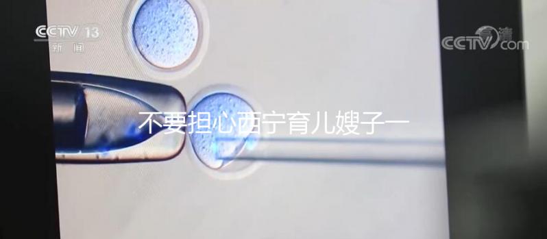 不要擔(dān)心西寧育兒嫂子一個月多少錢,關(guān)心機構(gòu)是否正式