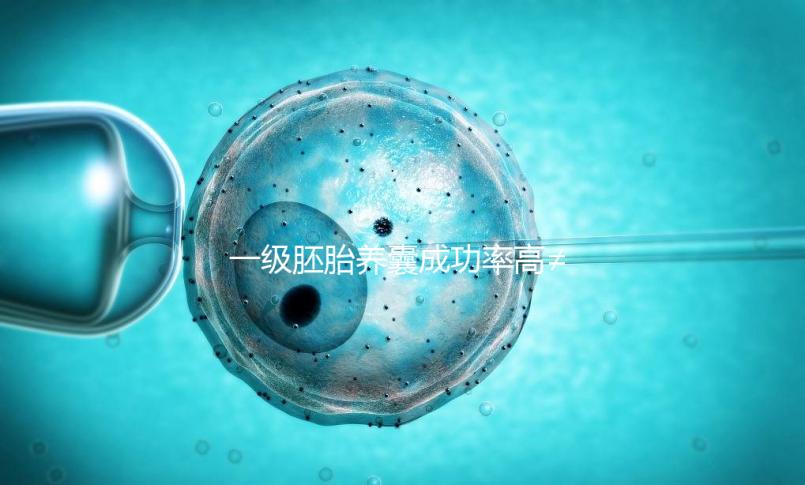 一級胚胎養囊成功率高≠零失敗，染色體異常是主要原因