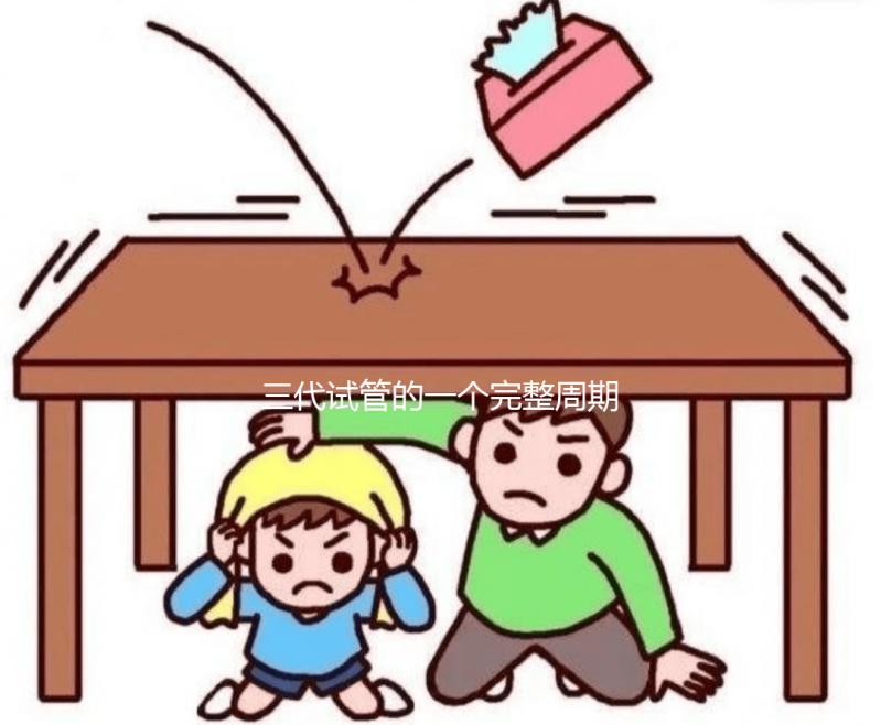 三代試管的一個完整周期包含哪些內容？