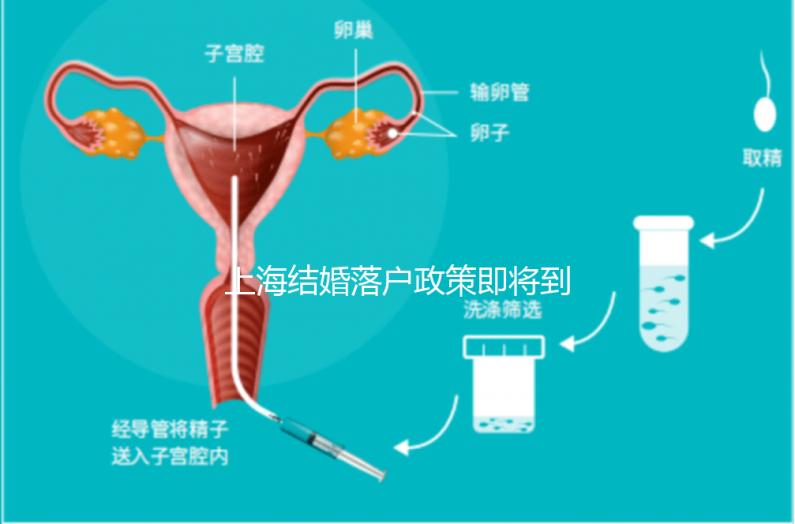 上海結(jié)婚落戶政策即將到來(lái)，包括2024年黃浦區(qū)詳細(xì)的戶籍流程