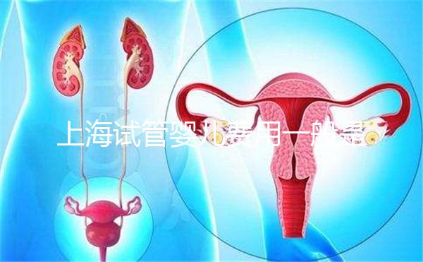 上海試管嬰兒費(fèi)用一般是多少?2025年費(fèi)用明細(xì)全解析、各技術(shù)方案價(jià)格對(duì)比與科學(xué)省錢(qián)全指南