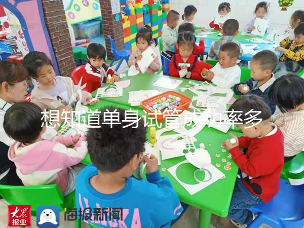 想知道單身試管成功率多少看這，過來人真實案例揭秘真相