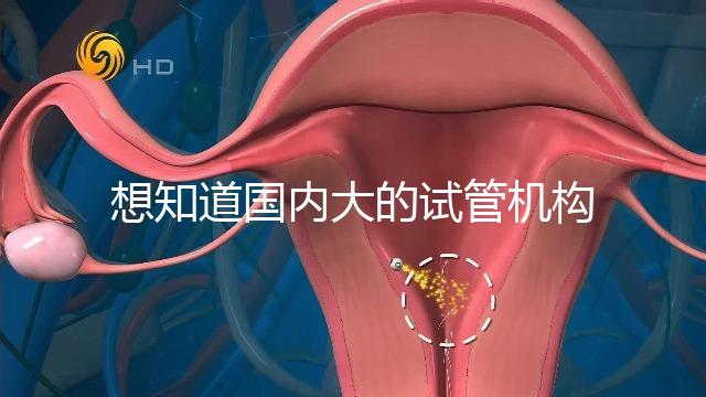 想知道國內大的試管機構,可以查到的那種?