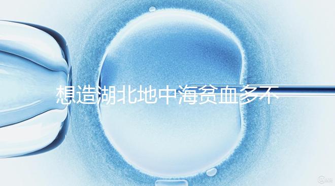 想造湖北地中海貧血多不多戳，武漢發病率高不高看這篇