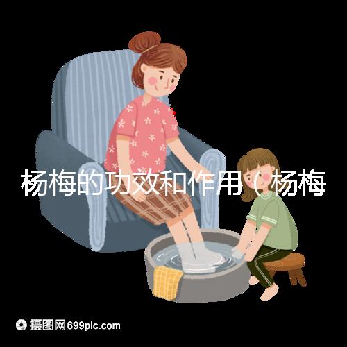 楊梅的功效和作用（楊梅的功效和作用禁忌 營養(yǎng)價值）