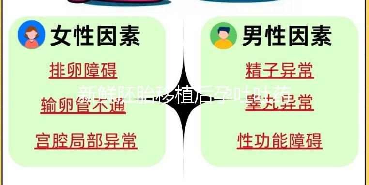 新鮮胚胎移植后孕吐吐藥怎么辦?試管醫生會給你一些建議