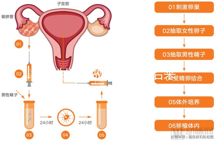 無(wú)性婚姻做試管嬰兒后來(lái)怎么樣?三個(gè)大案例揭開(kāi)了內(nèi)幕