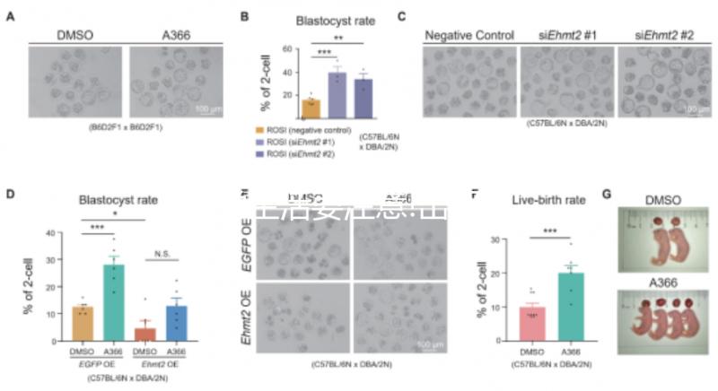 日常生活要注意!出現這些癥狀可能是低壓高造成的