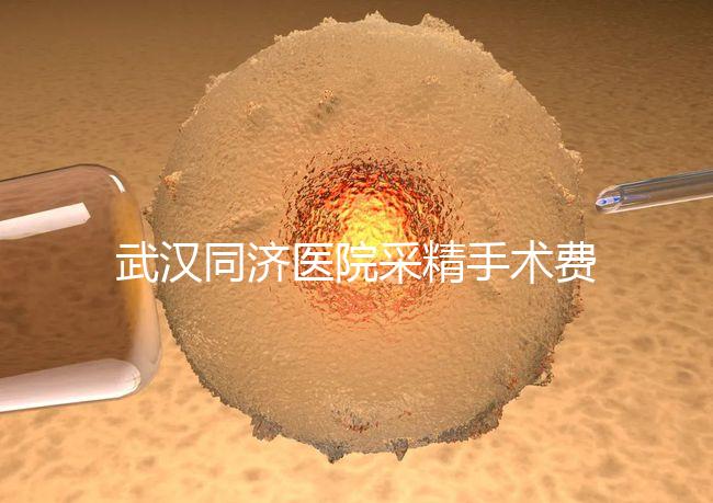 武漢同濟醫院采精手術費用分析，顯微采精也可報銷