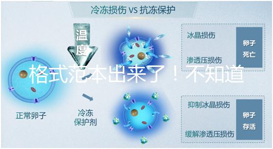 格式范本出來了!不知道出生證明遺失申請書怎么寫看這兒