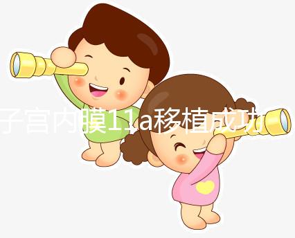 子宮內膜11a移植成功率解析，好不好、適不適合著床看這