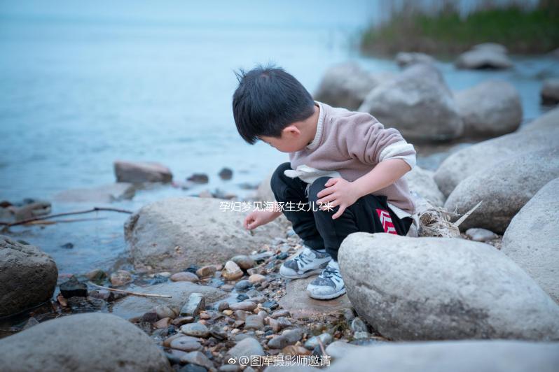 孕婦夢見海豚生女兒?來看看具體胎夢的解讀吧