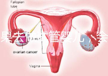 如果去做試管嬰兒，會有什么利與弊？