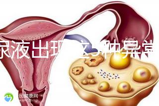 當尿液出現這5種異常情況,那么腎功能檢查刻不容緩