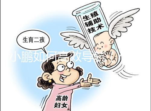 小鵬如何高效導航(小鵬如何高效導航定位)