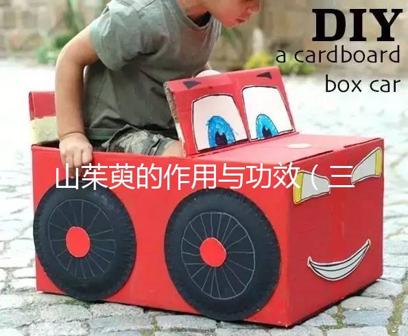 山茱萸的作用與功效（三種人不能吃山茱萸）