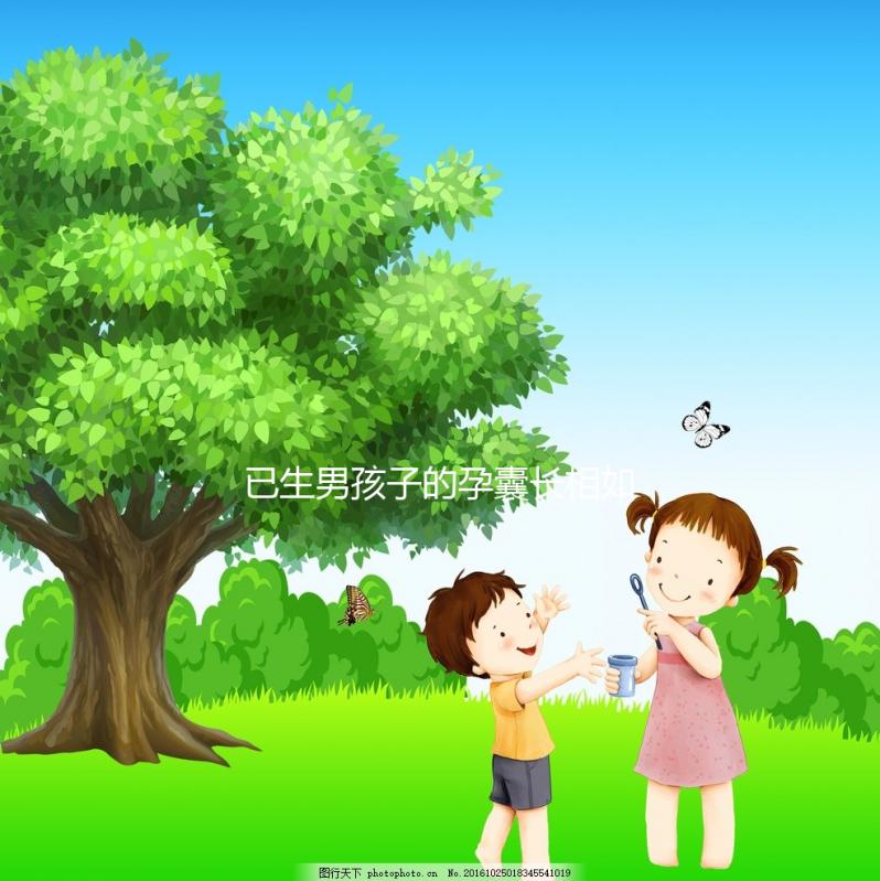 已生男孩子的孕囊長相如此怪異，圖片參考對照看看